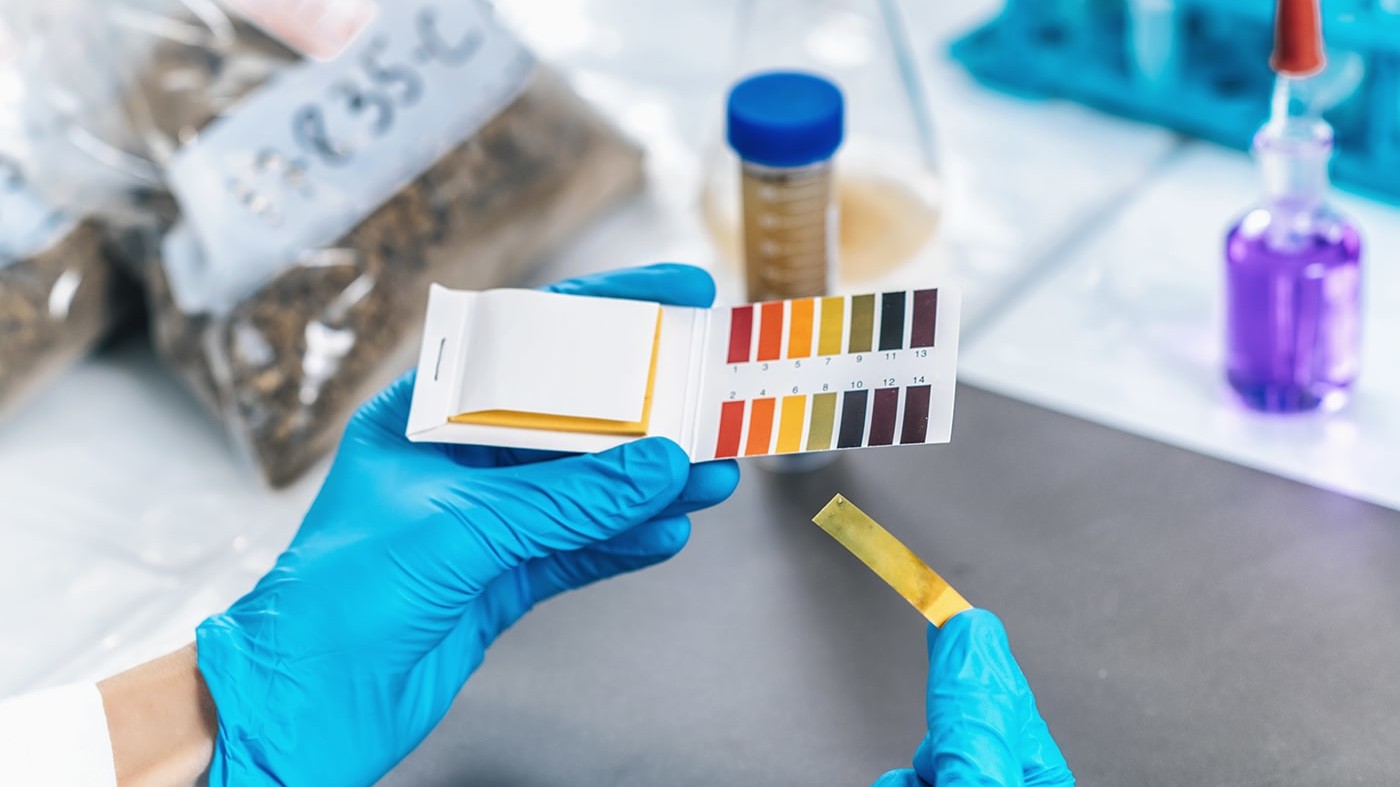 Scientist using PH strips in laboratory