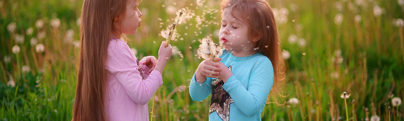 Children playing with dandelion seeds in field