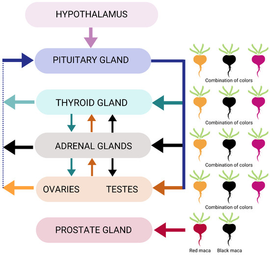 Nutrients graphic