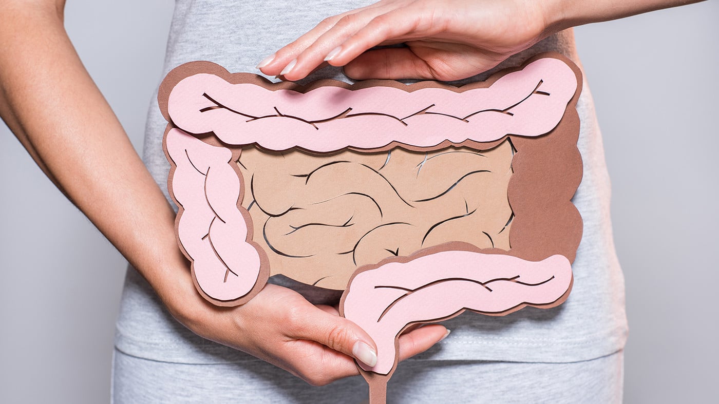 401: With Skyrocketing Rates of Inflammatory Bowel Disease (IBD), Colorectal Cancer… Is A Colonoscopy Screening BAD For Your Gut? w/ Dr. Ilana Gurevich