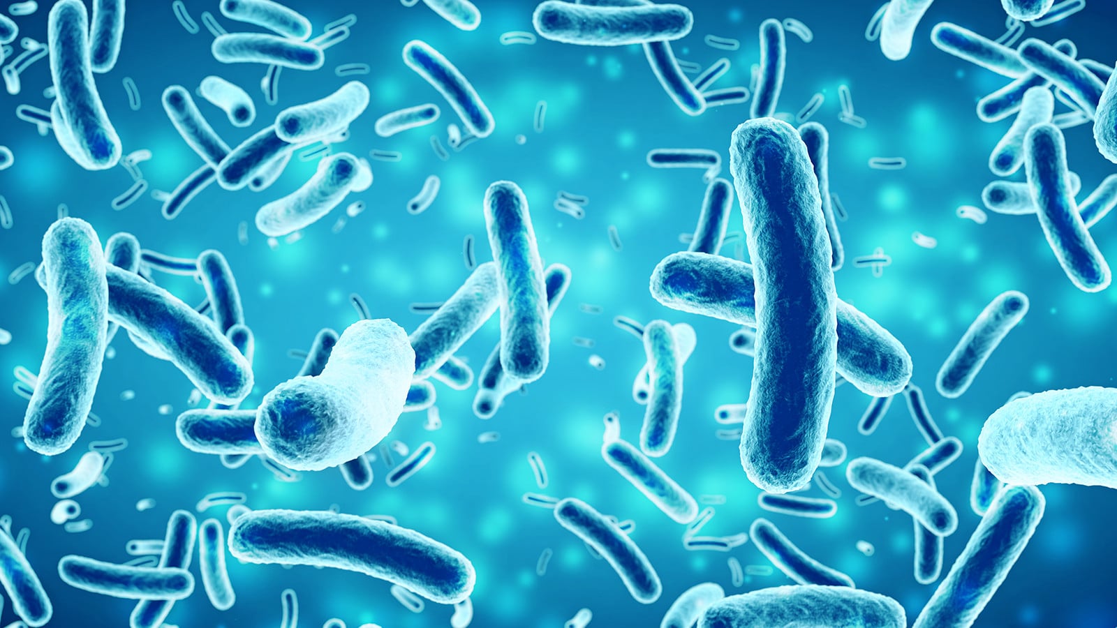 405: Staph aureus + Eczema: Why This Inflammatory Bacteria Is A Problem You Shouldn’t Ignore (Especially When Your Skin Flares) w/ Dr. Peter Lio