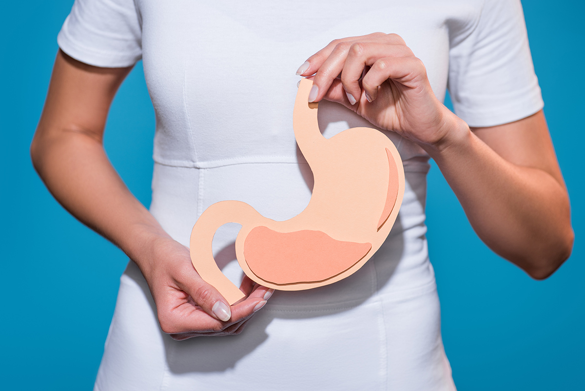 woman with model of the stomach