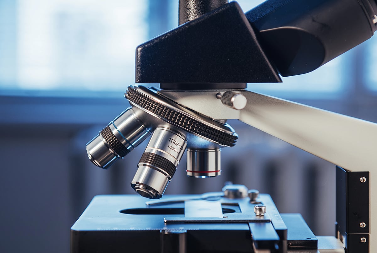 microscope used for a helminth infection test